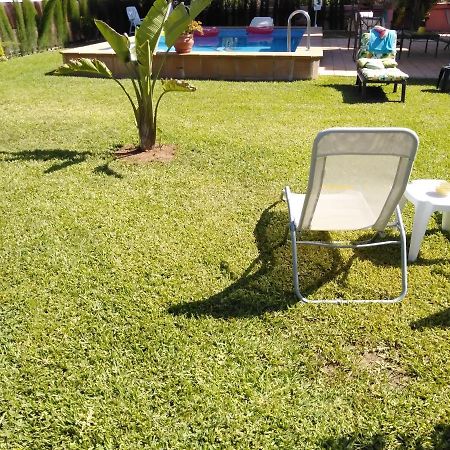 Alcalá de Guadaira Apartamento Laila,Sevilla, מראה חיצוני תמונה